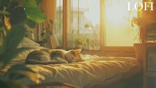 lofi jazz radio - music for relaxing/studying 47-0