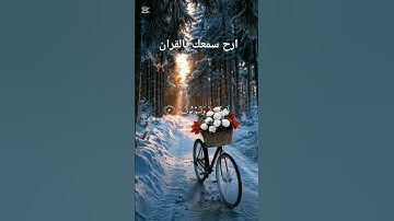 #اكسبلور #الله #قرآن #القرآن_الكريم #المعيقلي #لايك #ترند #quran #allah #سوره الاخلاص#تيك_توك