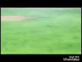انمي هنتر هنتر اغنيه حزينه لا تفوتك 
