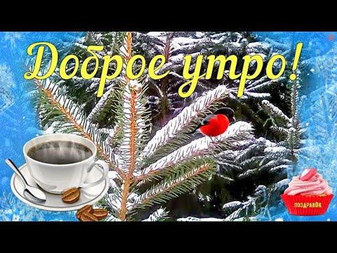 Пожелания доброго зимнего утра и бодрящего настроения!
