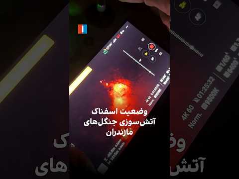 وضعیت اسفناک آتش سوزی جنگل های مازندران