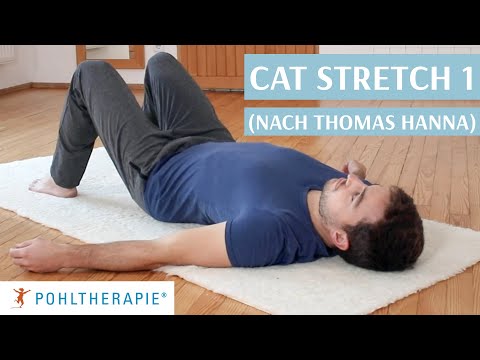 Cat Stretch 1 (nach Thomas Hanna) - Gerade Rückenmuskulatur und Iliopsoas