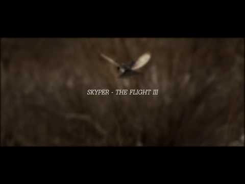 Skyper The Flight III