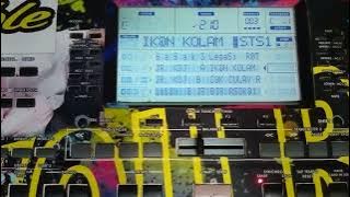 SET REMIX PALEMBANG VIRAL IKAN DALAM KOLAM,BIRASOKA,CAK CULAY NABUY² KORG PA50
