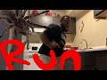 TARANTULA PRANK ON BOYFRIEND