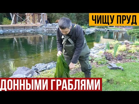 Чищу пруд донными граблями. Тестирую приспособление для чистки пруда.