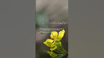 سورة المؤمنون احمد العجمي #القران_الكريم