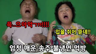 엄빠의 티격태격 송주불냉면 먹방 ft.광고아님