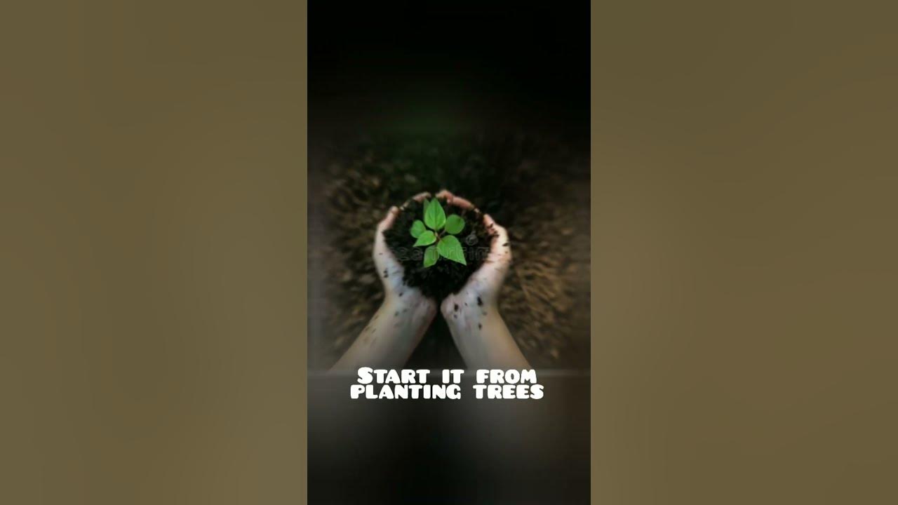 Take a Small StepππΌββοΈTo Save Environment π±π | Motivation | #shorts #ytshorts Take a Small StepππΌββοΈTo Save Environment π±π | Motivation | #shorts #ytshorts