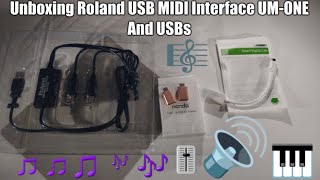 Unboxing Roland USB MIDI Interface UM ONE And USBs