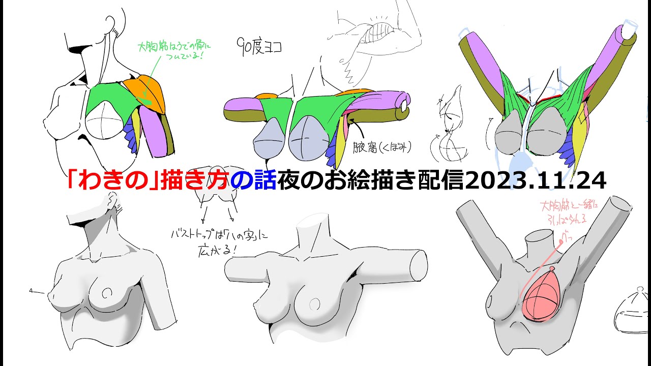 「わきの描き方の話その③」夜のお絵描き配信20231124 - Hide Channel Upper Woman