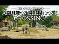 Zoo Tours: The African Elephant Crossing | Cleveland MetroParks Zoo