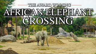 Zoo Tours: The African Elephant Crossing | Cleveland MetroParks Zoo