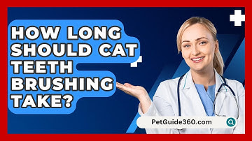 How Long Should Cat Teeth Brushing Take? - PetGuide360.com