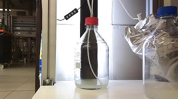 When Microbes Strike Harder – Real-Time Acidification of Synthetic Manure AD Substrate (Part 9)