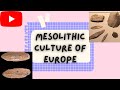 Mesolithic culture of europeazilian tardenoisean maglemoisean kitchenmidden ertbolle