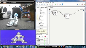 NAO Falls Back on Carpet