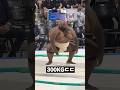 These Days Sumo Wrestlers Fight Only Based On Their Weight Class These Days Sumo Wrestlers Fight Only Based On Their Weight Class