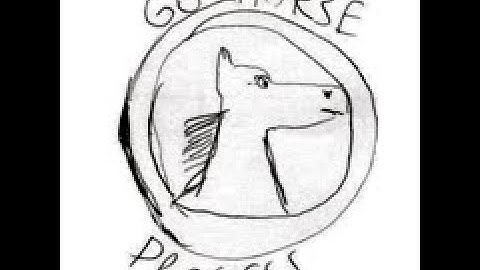 XConnect Face Login with Sitecore by Team Go Horse