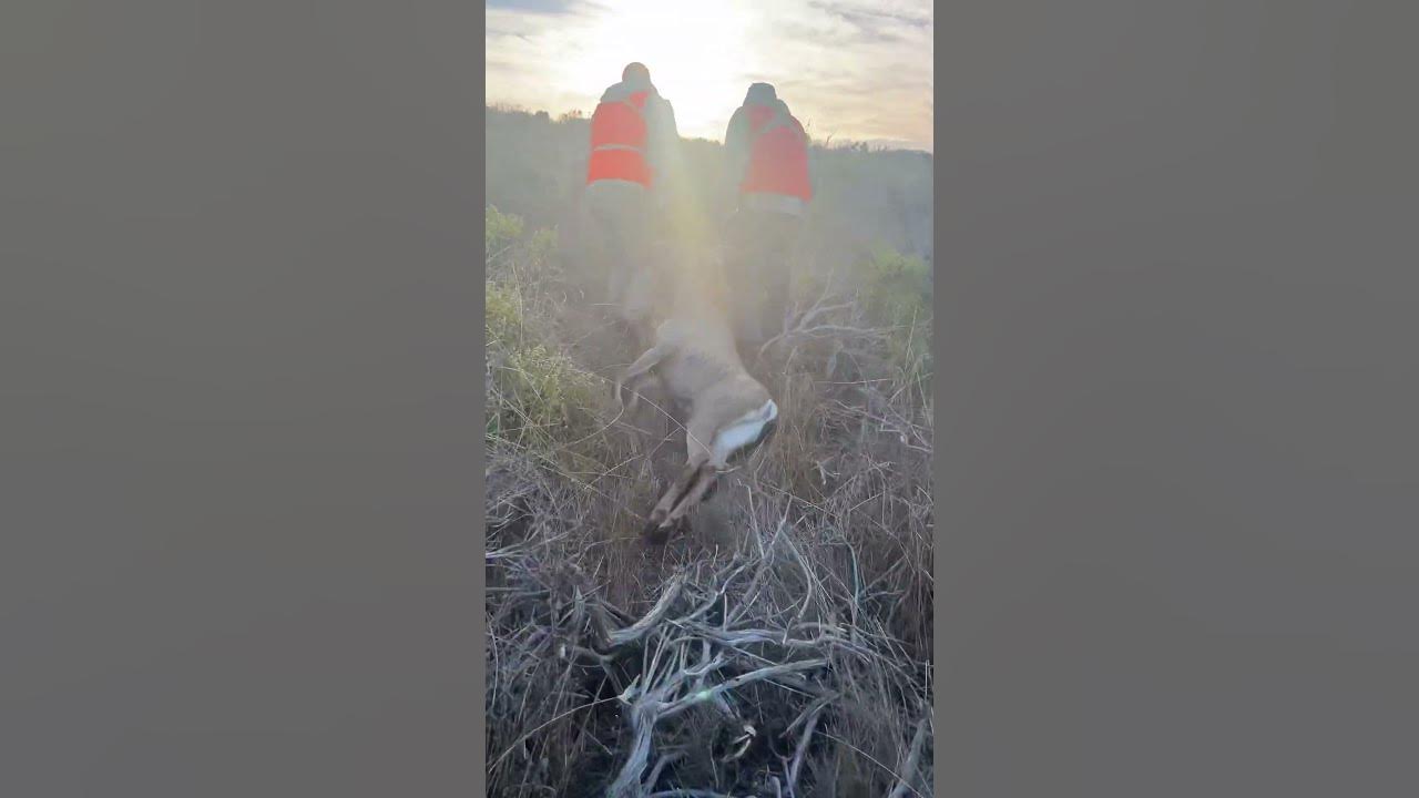 California AZone Deer Hunt SUCCESS! Good luck to all this last weekend 🦌 YouTube