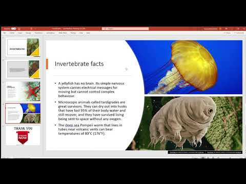powerpoint presentation on invertebrates - YouTube