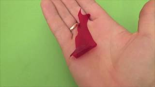 Miracle Fish! screenshot 5