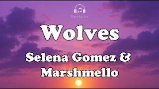 Wolves - Selena Gomez feat Marshmello (Lyrics) 🎵🎧
