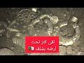 مواطن صالح يعثر على كنز تحت ارضه بشلف 