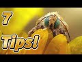 7 tips  secrets to amazing macro photos