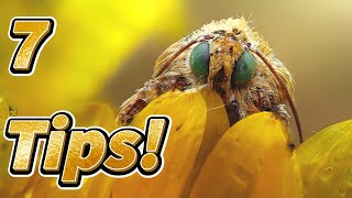 7 Tips & Secrets To Amazing Macro Photos