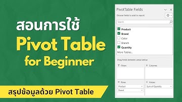 สอนการใช้ Excel Pivot Table🌟ลองใช้ครั้งแรก พื้นฐาน ง่ายๆ