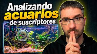 Analizando Errores y Aciertos en Vuestros Acuarios 🕵️ Acuarios de Suscriptores #73
