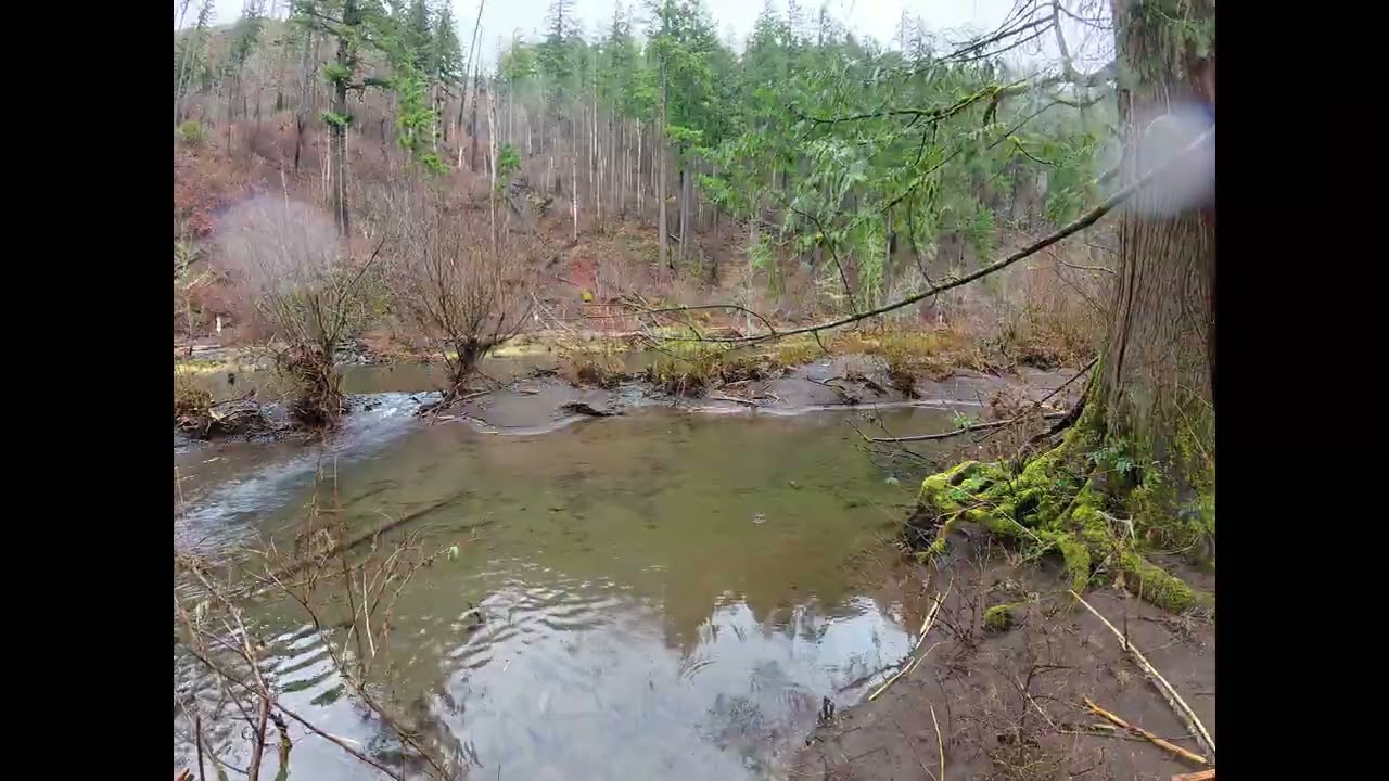 Hiking #fypシ゚viral #nature 