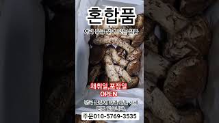 #혼합품 #송이등급 #송이맛집 #shorts