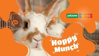 Discover Everything Petzone Has To Offer Your One-Stop Pet Shop