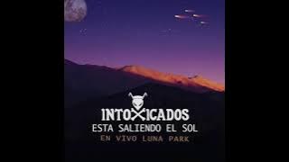 Intoxicados - Esta saliendo el Sol (En vivo Luna Park)