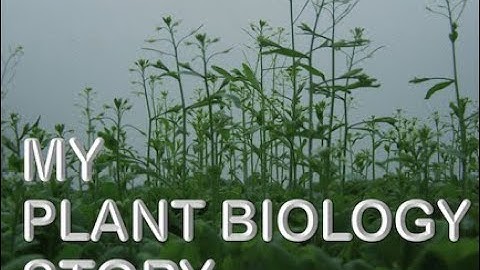 NAASC MPBS Jose Dinneny2023