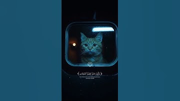 دقيقه من الراحه النفسيه بصوت القارئ عبد الرحمن مسعد       #قرآن #عبدالرحمن_مسعد #quran