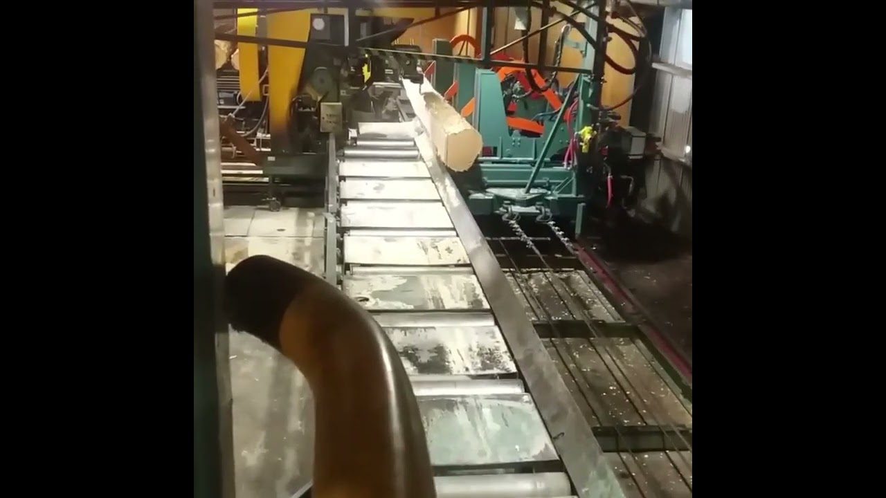 Amazing Fastest Large Wood Sawmill Machine Working- Woodworking Processing Factory Modern Technology