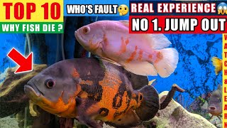 TOP 10 REASON WHY FISH DIE IN AQUARIUM POND | BEGGINERS MISTAKES | MACHLI KYU MARTI HAI MONSTER FISH