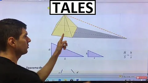 Qual é a teoria de Tales de Mileto?