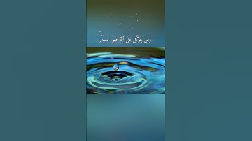 #قرآن تلاوة الشيخ سعد الغامدي🎙سورة الطلاق #quran