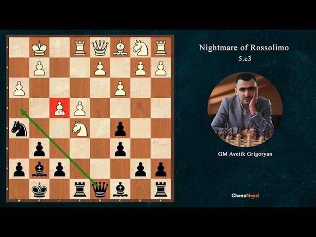 What a Queen Sacrifice!! wow 👌 Susan Polgar Vs. Peter Hardicsay The , Chess