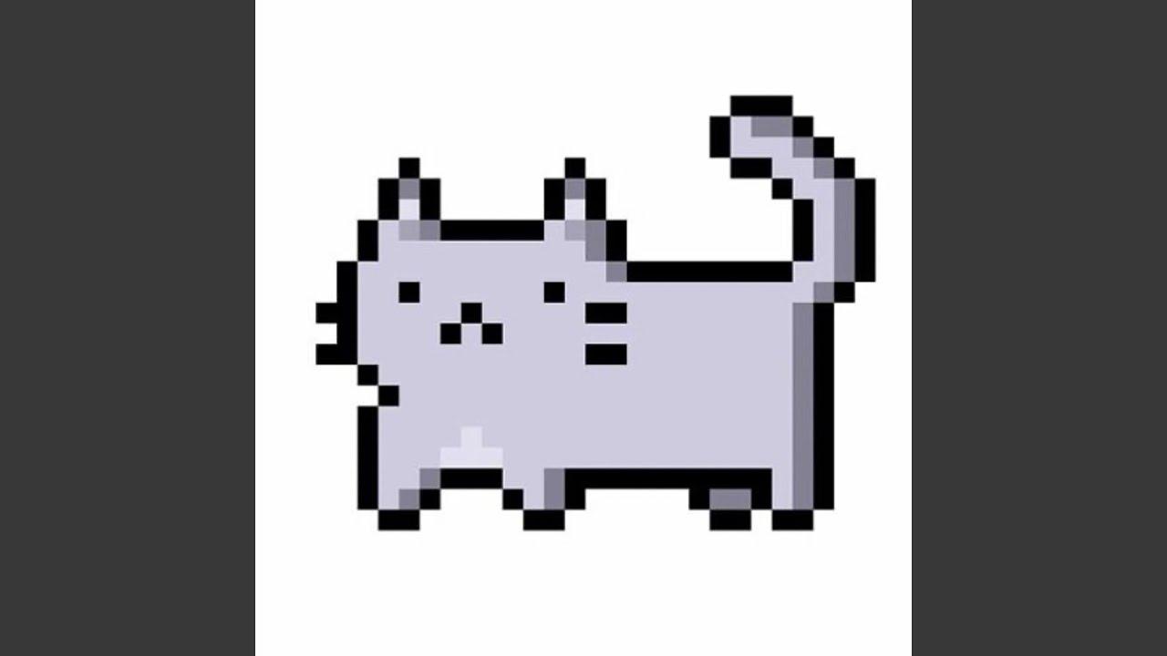 silly cat
