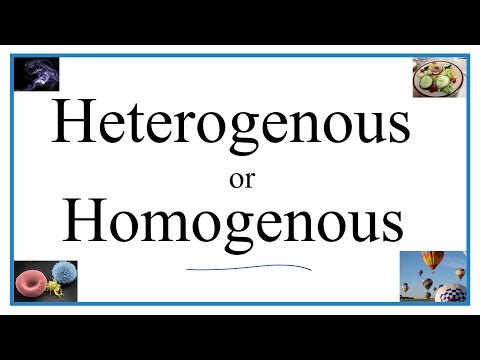 Heterogenous vs Homogenous (Definitions, Examples, & Practice)