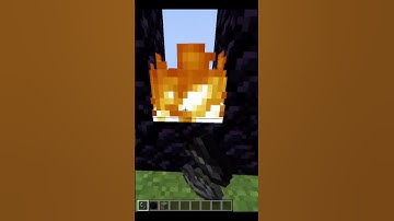 Minecraft All The Nether Portal Size | #minecraft #shorts #nether