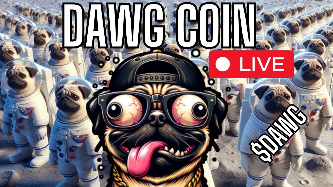 DAWG COIN LIVE STREAM #dawg $DAWG - YouTube