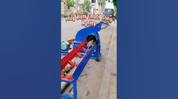 Giải pháp xử lí hàng chục tấn thân cây chuối cho bà con nông dân | Máy băm chuối công nghiệp