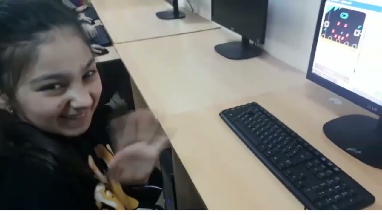 Mikrobitlə tanışlıq