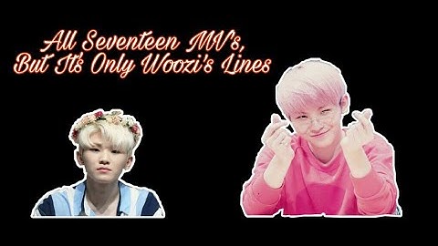 All Seventeen MV